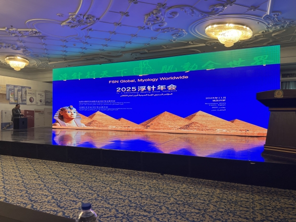 Cairo, Egypt - FSN Conference 2025