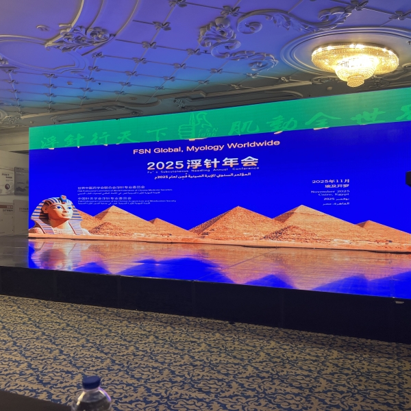 Cairo, Egypt - FSN Conference 2025